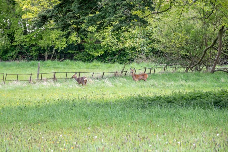 Home Farm Boreham ワーミンスター エクステリア 写真